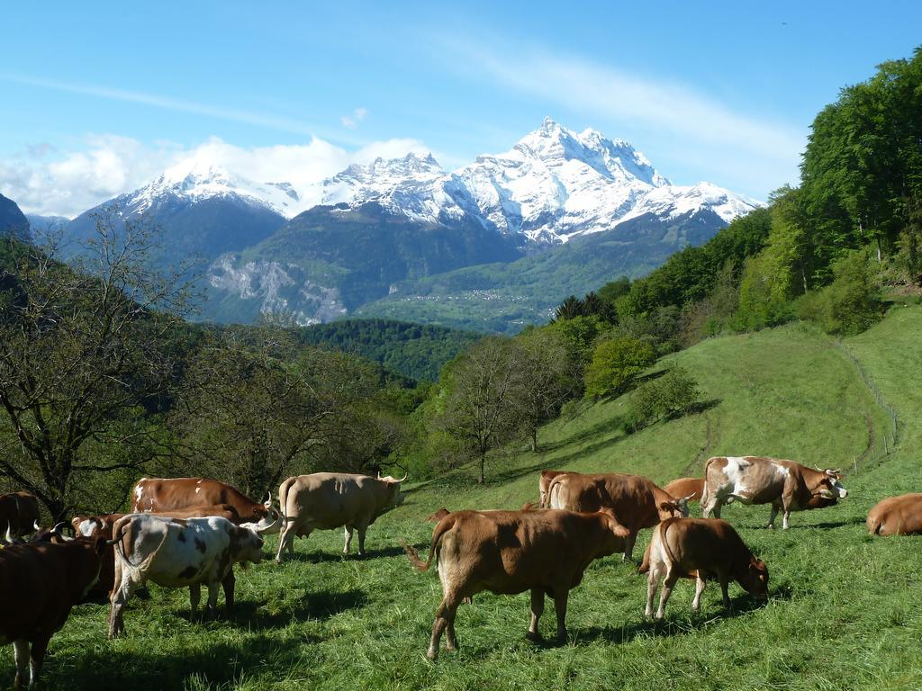 Villa La Petite Grange à Villars-sur-Ollon Extérieur photo