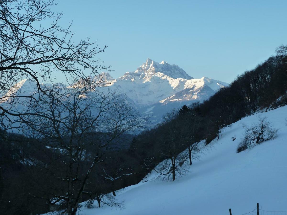 Villa La Petite Grange à Villars-sur-Ollon Extérieur photo